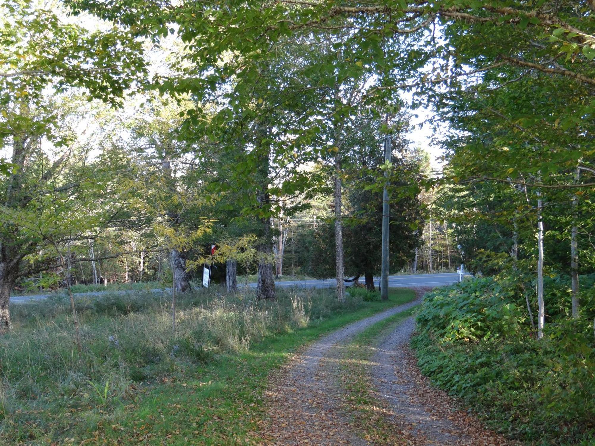 Chamcook Forest Lodge Bed & Breakfast St. Andrews By The Sea Luaran gambar